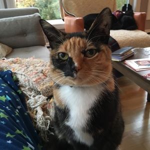 Meet your Posher, Kim